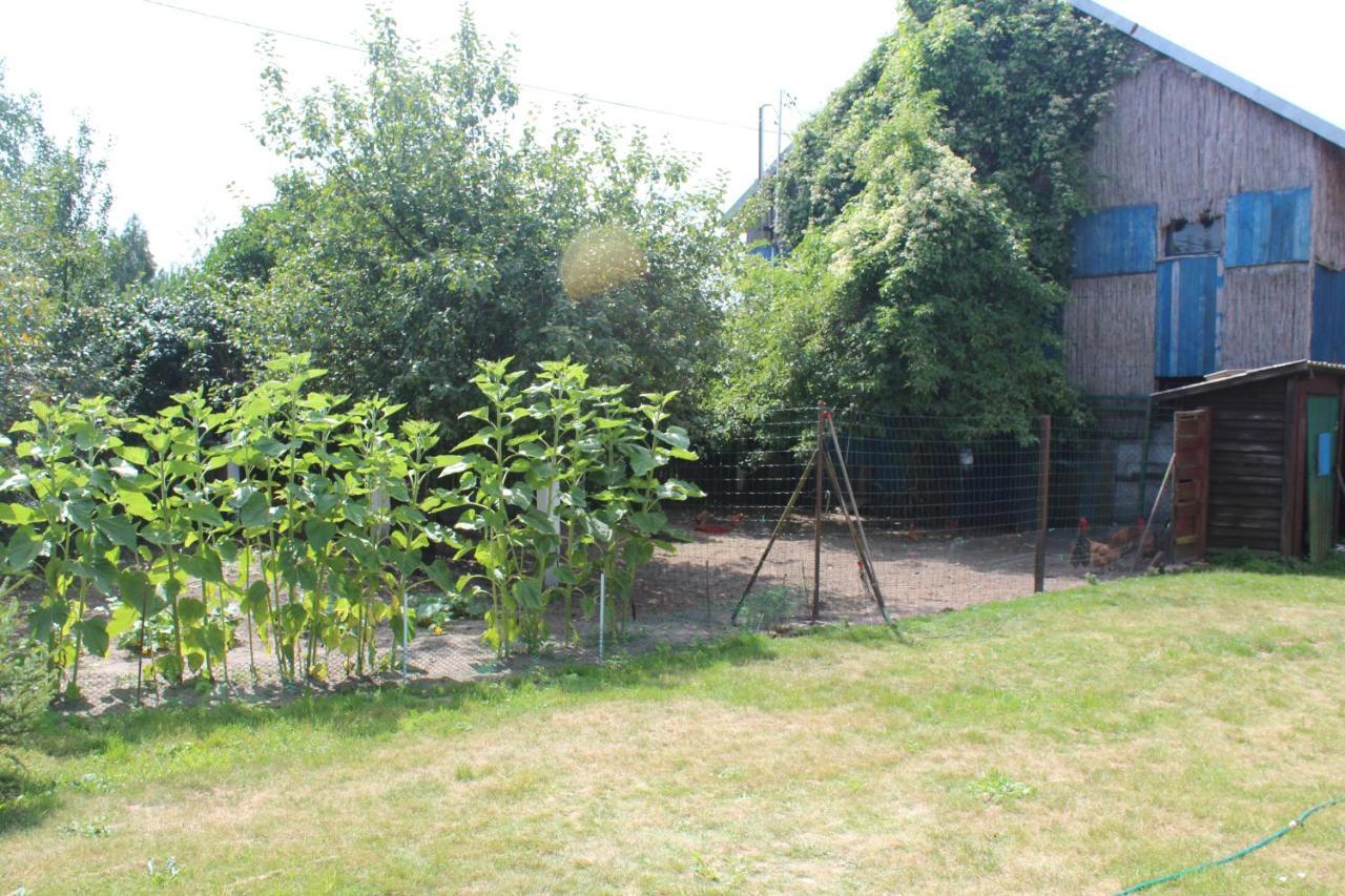 Agroturystyka Kociewiak Szteklin Exterior foto
